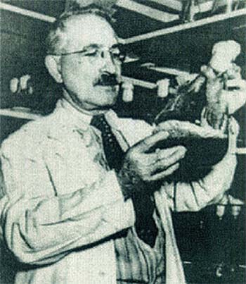 Selman Waksman